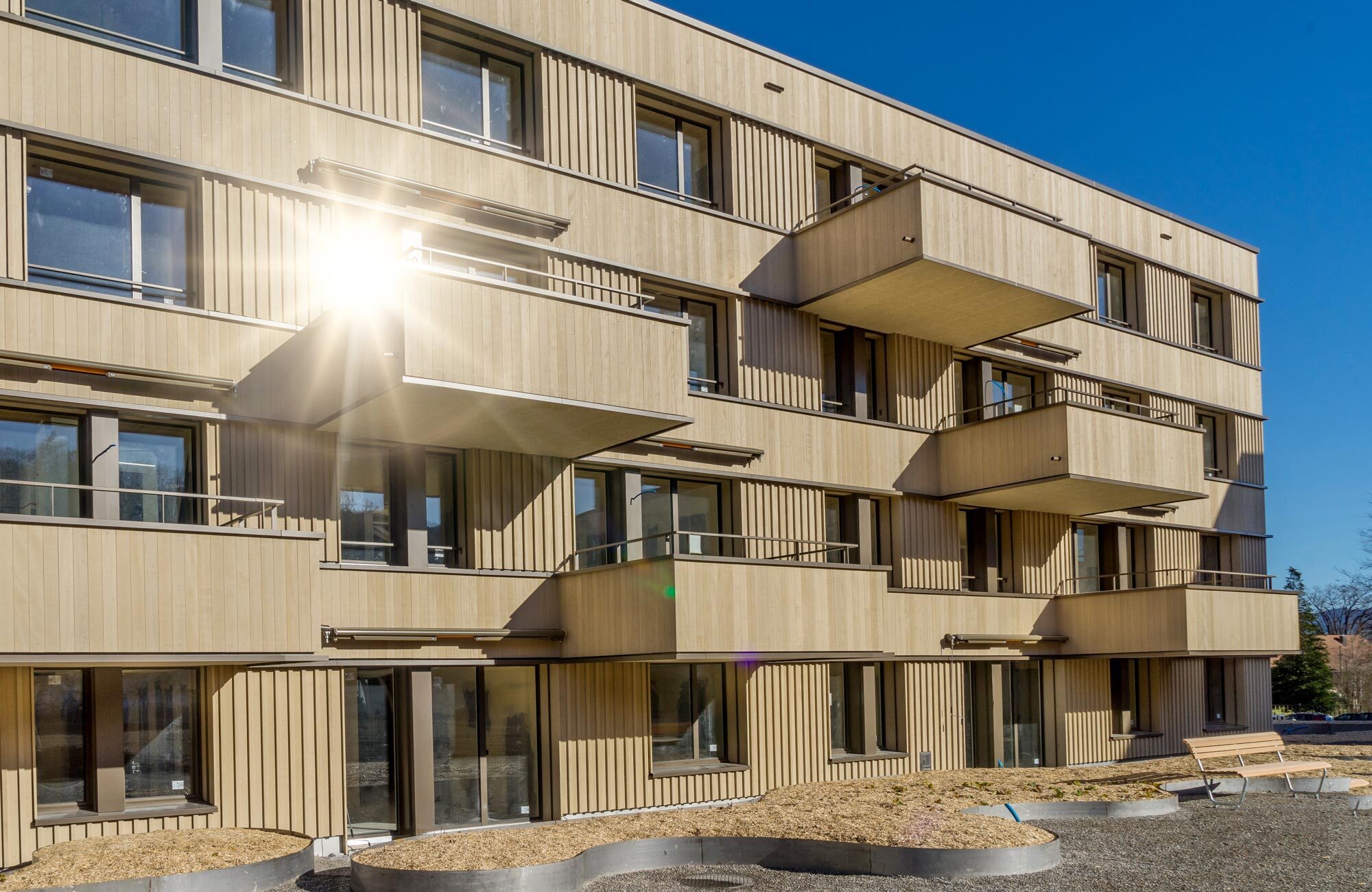 Elementbau mit Holz für Mehrfamilienhaus